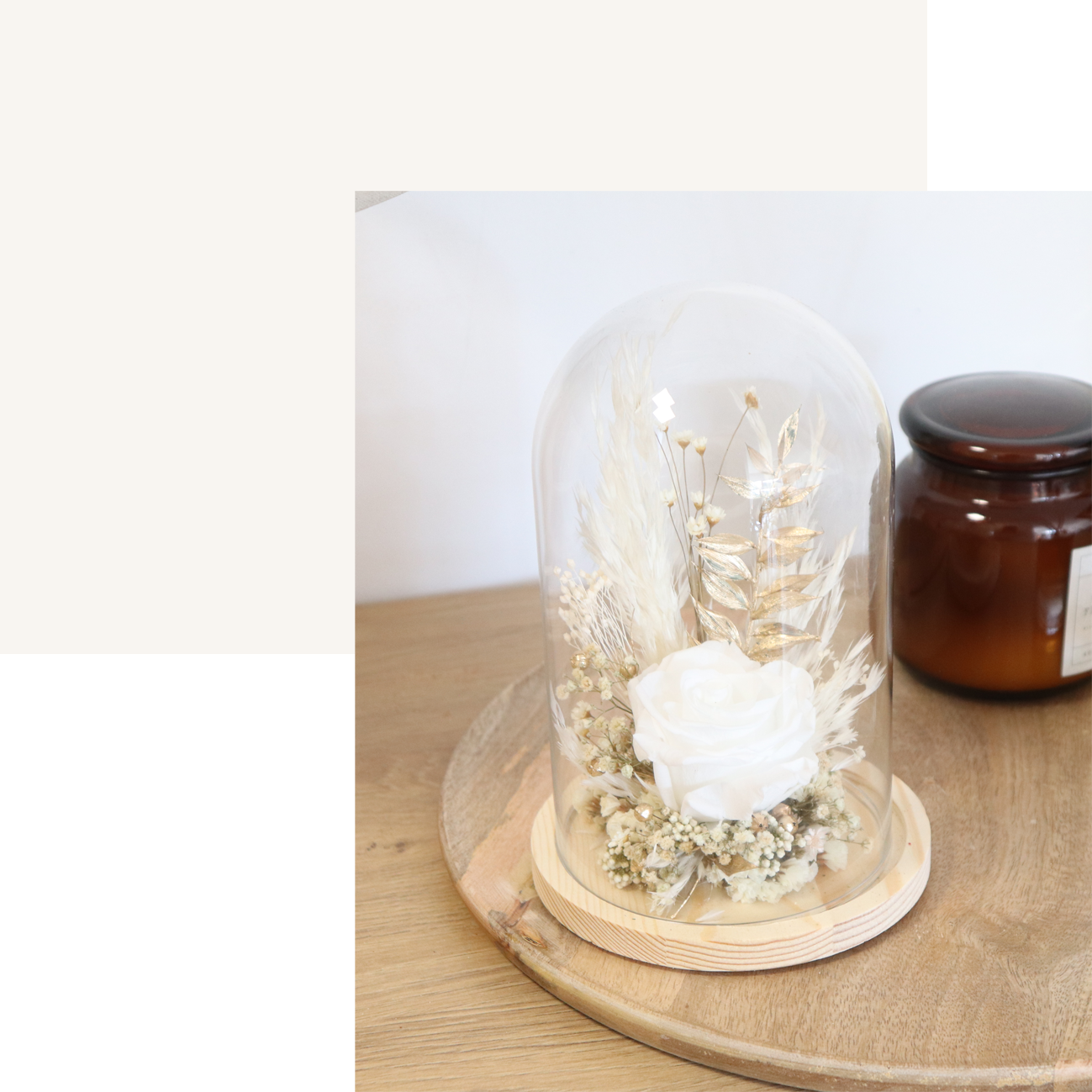 Cloche fleurs séchées Jardin de Lune